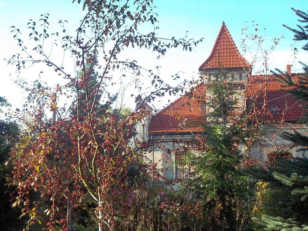 Villa Dwor W Boleniu Exterior foto